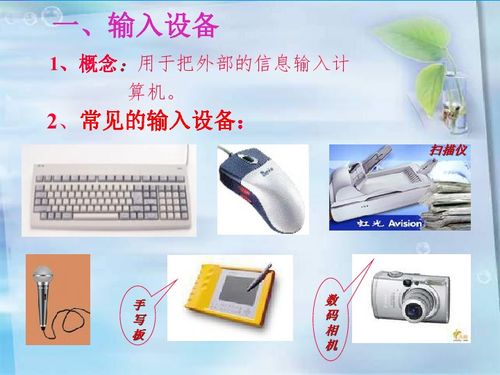 計(jì)算機(jī)硬件系統(tǒng)的組成與基本結(jié)構(gòu)